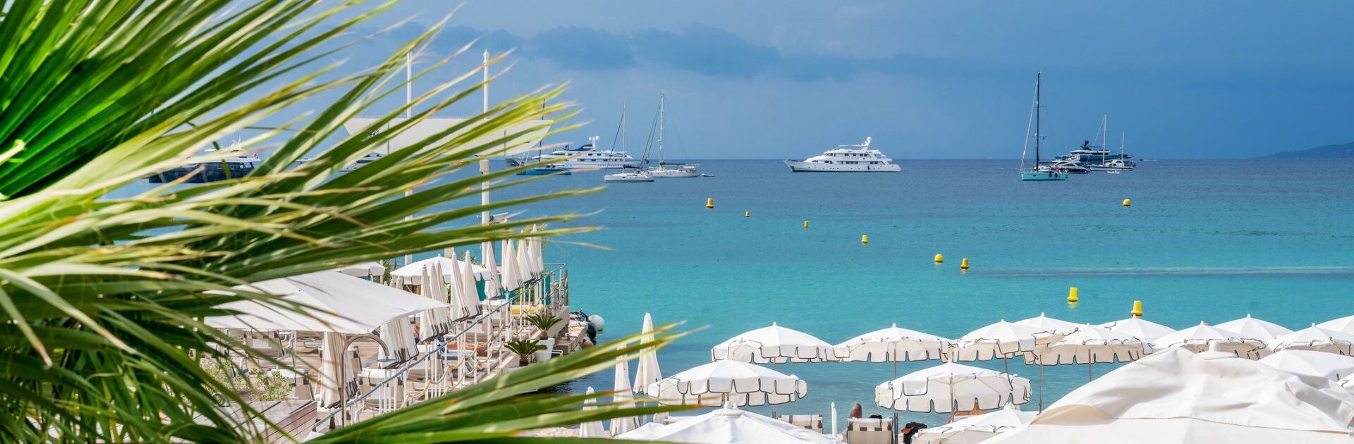 meilleurs restaurants à cannes