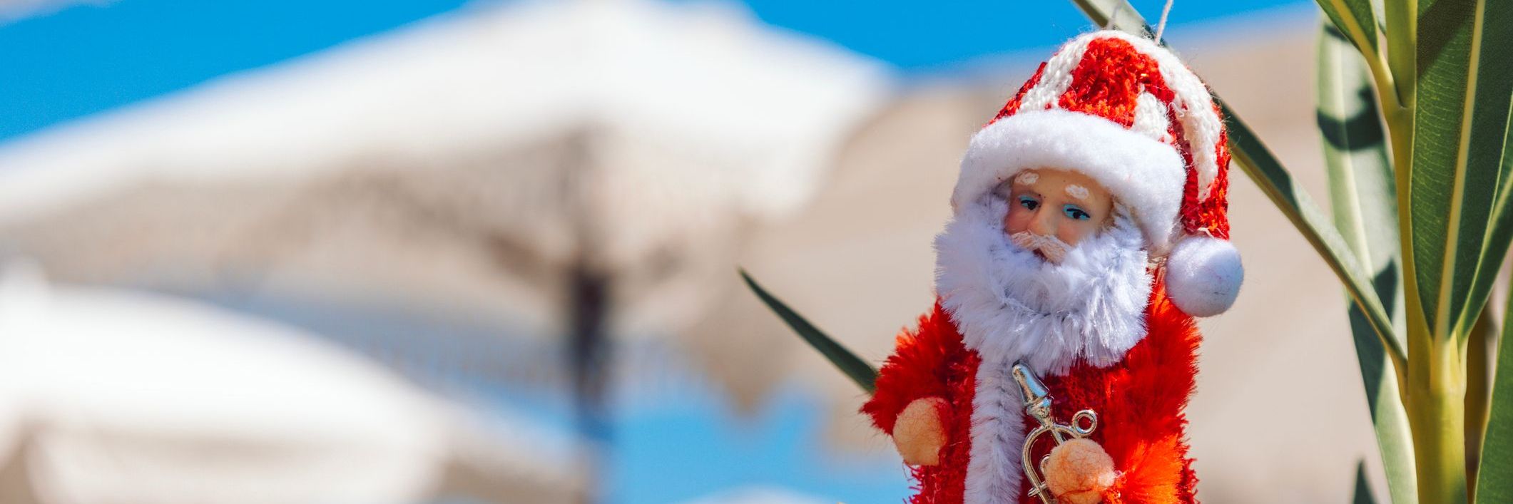 Cannes-en-decembre-NOEL.jpg