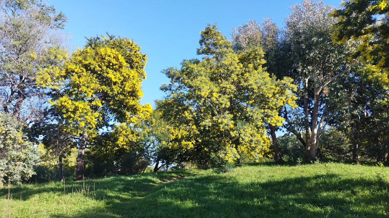 La-Croix-des-Gardes-jardin
