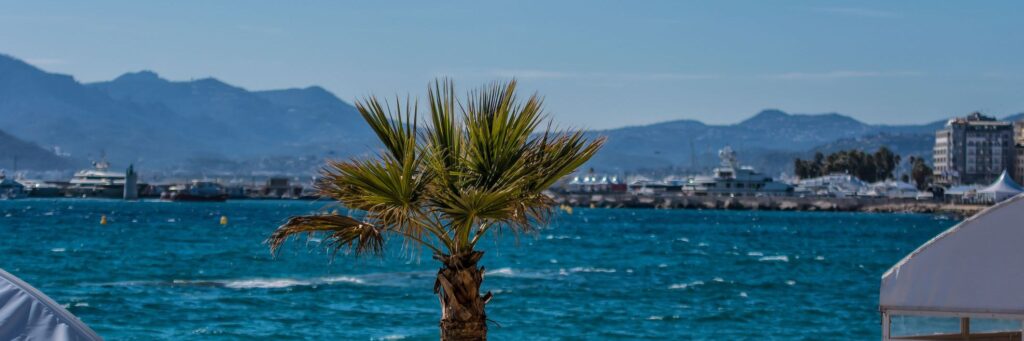 Cannes-en-mars.jpg