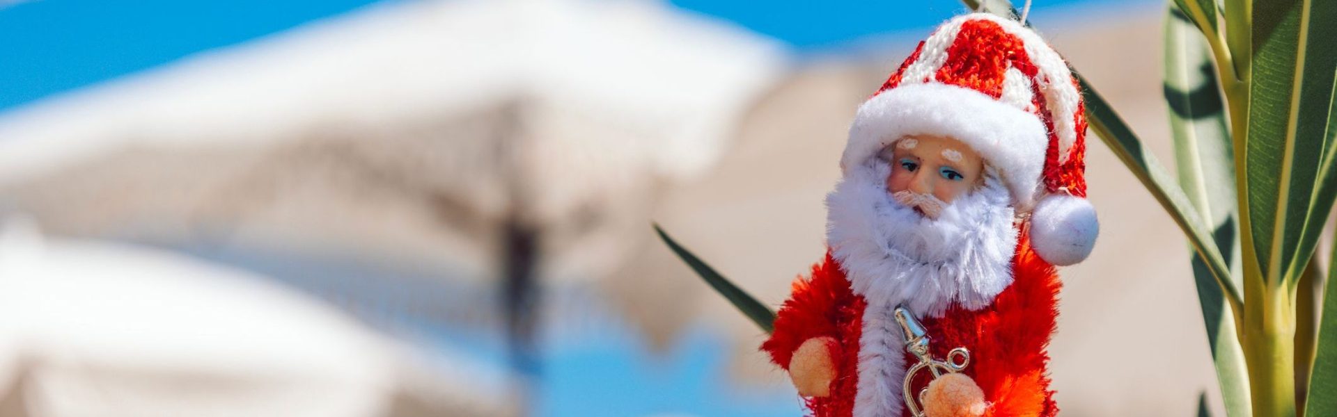 Cannes-en-decembre-NOEL.jpg
