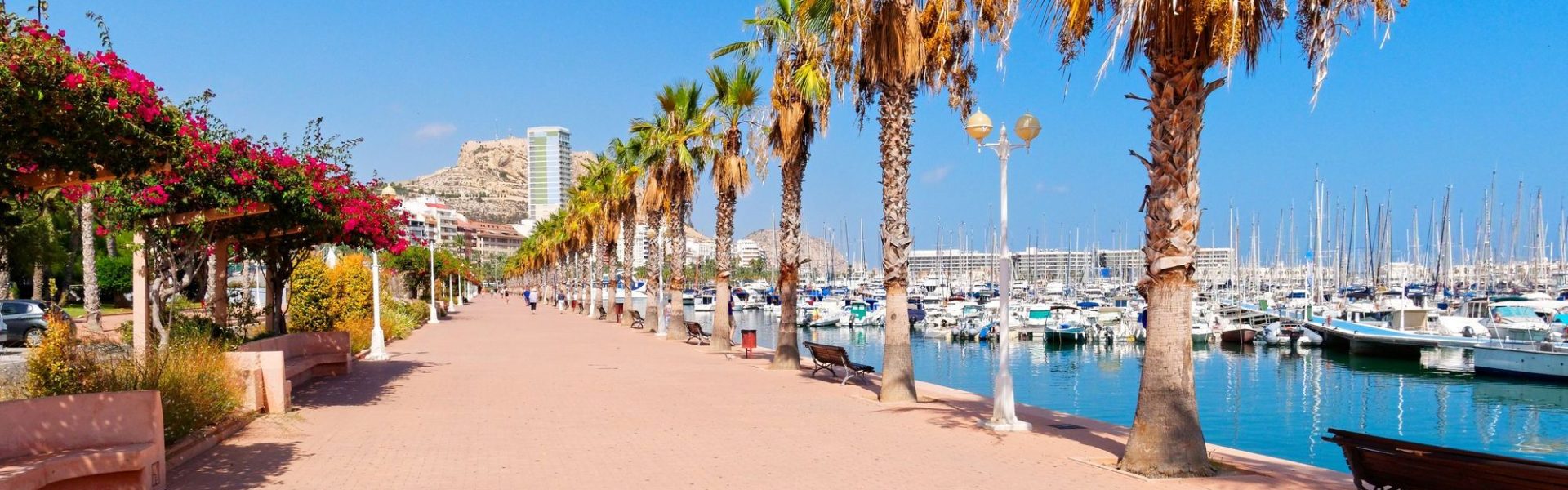 cannes juin cannes juin