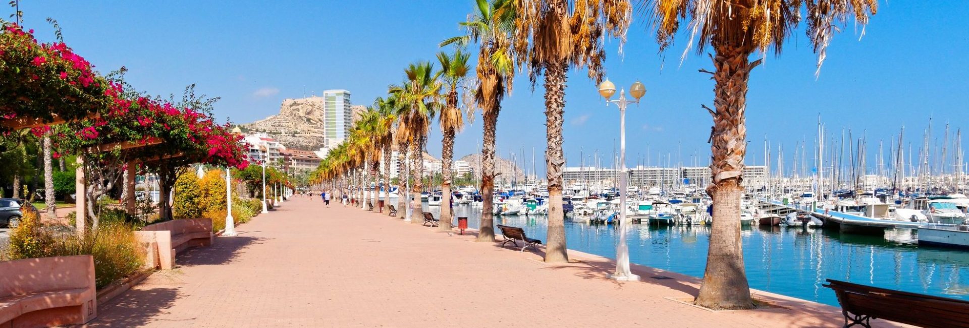 Beautiful promenade along the port and the sea in Alicante. Spain. cannes juin