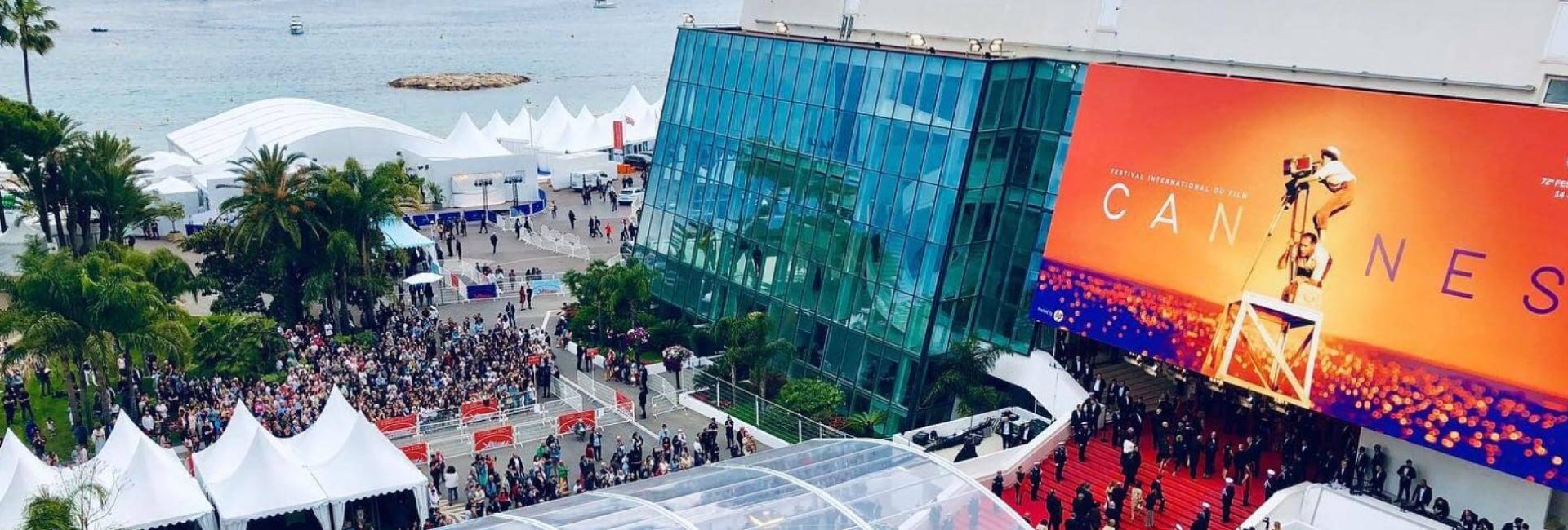 marche du film 2024 à cannes