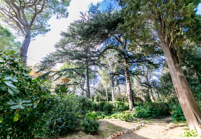 Apartment in Juan-les-Pins - LE CHATEAU DE LA PINEDE AP4198 Apartment in Juan-les-Pins - LE CHATEAU DE LA PINEDE AP4198