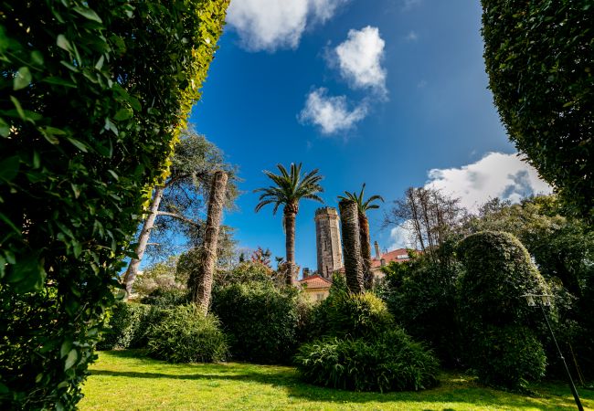 Apartment in Juan-les-Pins - LE CHATEAU DE LA PINEDE AP4198 Apartment in Juan-les-Pins - LE CHATEAU DE LA PINEDE AP4198