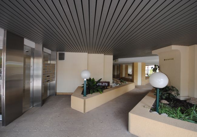 Apartment in Cannes - TUI1376 / Superbe apt terrasse vue mer Palm Beach Apartment in Cannes - TUI1376 / Superbe apt terrasse vue mer Palm Beach