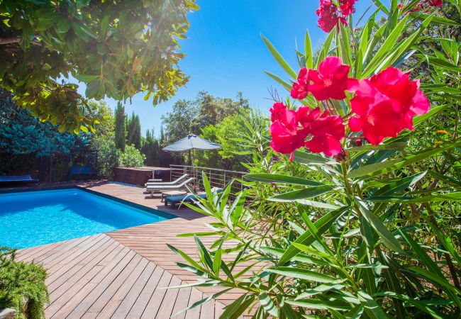 Villa in Mandelieu-la-Napoule - VILLA JUSTINE VI4239 By Riviera Holiday Homes Villa in Mandelieu-la-Napoule - VILLA JUSTINE VI4239 By Riviera Holiday Homes