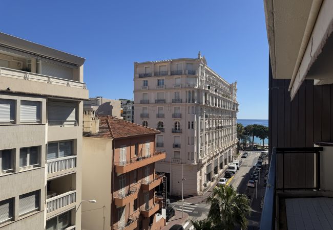  in Cannes - JC145 / Jardins de la Croisette / 3P
