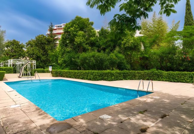 Apartment in Cannes - GOLDEN 2 / 3 pièces Apartment in Cannes - GOLDEN 2 / 3 pièces