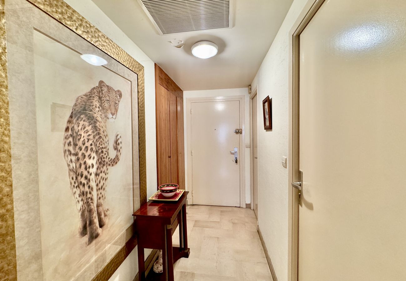 Apartment in Cannes - Gray d'albion studio D vue mer de côté