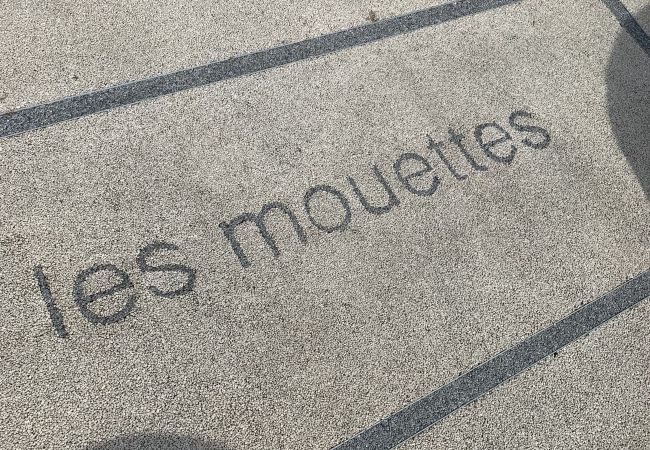 Appartement à Cannes - 2 pièces terrasse proche mer / Les Mouettes Appartement à Cannes - 2 pièces terrasse proche mer / Les Mouettes