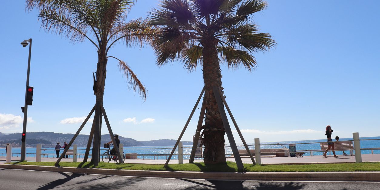 temps-cannes-en-mai-meteo.jpg