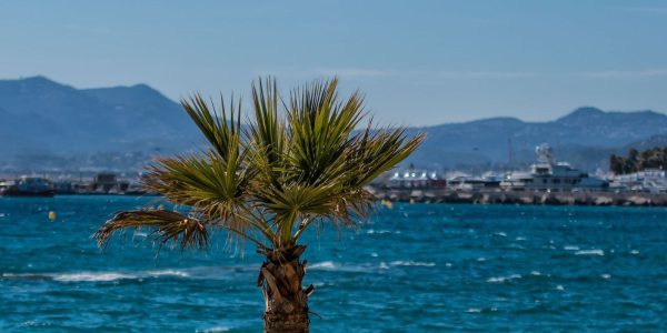 Cannes-en-mars.jpg